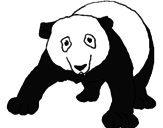 Disegno Orso panda  pitturato su  lollo