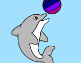 Disegno Delfino con una palla  pitturato su  lollo