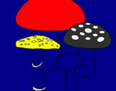 Disegno Funghi pitturato su MATTEO