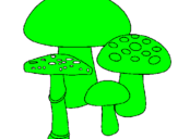 Disegno Funghi pitturato su chiara