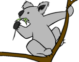 Disegno Koala  pitturato su sissi
