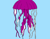 Disegno Medusa  pitturato su ELISA