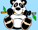 Disegno Orso panda  pitturato su Francesca