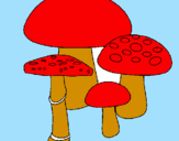 Disegno Funghi pitturato su fabio2006
