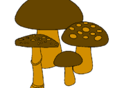 Disegno Funghi pitturato su Mario