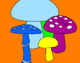 Disegno Funghi pitturato su  iaia
