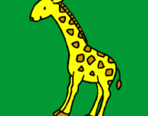 Disegno Giraffa  pitturato su ginevra