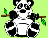 Disegno Orso panda  pitturato su yin e yang