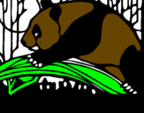 Disegno Oso panda che mangia  pitturato su alejandro