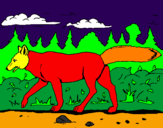 Disegno Coyote pitturato su letizia