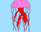 Disegno Medusa  pitturato su 002