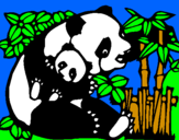 Disegno Mamma panda  pitturato su kevin