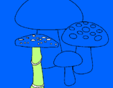Disegno Funghi pitturato su giuseppe