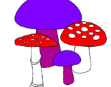 Disegno Funghi pitturato su agata