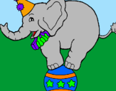 Disegno Elefante sulla palla  pitturato su andrea