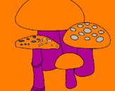 Disegno Funghi pitturato su greta m.