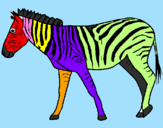Disegno Zebra  pitturato su carlotta