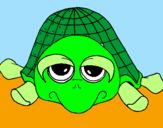 Disegno Tartaruga pitturato su  tartaruga