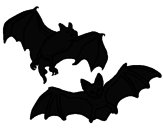 Disegno Un paio di pipistrelli  pitturato su pipistr
