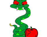 Disegno Serpente con la mela  pitturato su Mattia