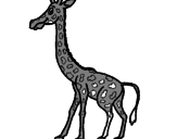 Disegno Giraffa  pitturato su Paolo