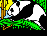 Disegno Oso panda che mangia  pitturato su francesca