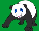 Disegno Orso panda  pitturato su sara