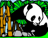 Disegno Orso panda con bambù  pitturato su Beatrice