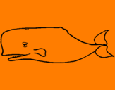 Disegno Balena blu pitturato su Paolo