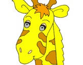 Disegno Muso di giraffa pitturato su MARTA