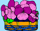 Disegno Paniere di fiori 12 pitturato su violette 