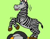 Disegno Zebra che salta sulle pietre  pitturato su raffa