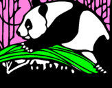 Disegno Oso panda che mangia  pitturato su anna  incerti