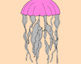 Disegno Medusa  pitturato su dafne