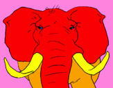 Disegno Elefante africano pitturato su ALEX