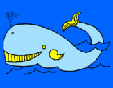 Disegno Balena  pitturato su andrea catapano