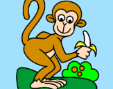 Disegno Scimmietta  pitturato su VINCENZO