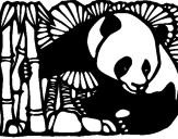 Disegno Orso panda con bambù  pitturato su grazia