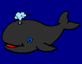 Disegno Balena che spruzza  pitturato su fra