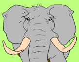 Disegno Elefante africano pitturato su roby