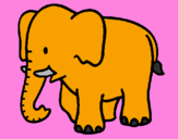 Disegno Elefante bebè  pitturato su asia