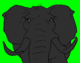 Disegno Elefante africano pitturato su VALERIO