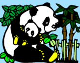 Disegno Mamma panda  pitturato su Rccardo