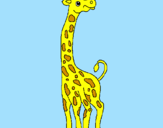 Disegno Giraffa  pitturato su marco catapano