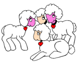 Disegno Pecore pitturato su vanessa  braghini