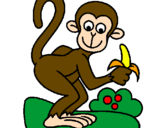 Disegno Scimmietta  pitturato su asilo