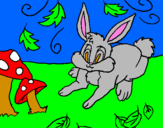 Disegno Coniglio pitturato su di luca soletta