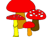 Disegno Funghi pitturato su flavia