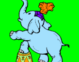 Disegno Elefante  pitturato su noelia