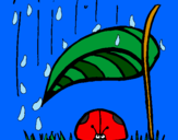 Disegno Coccinella protetta dalla pioggia  pitturato su asia